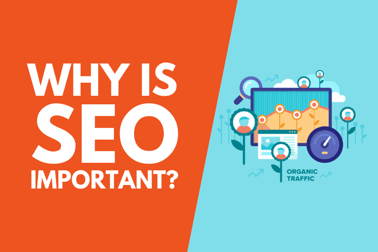 Why-Is-SEO-Important-For-Your-Business